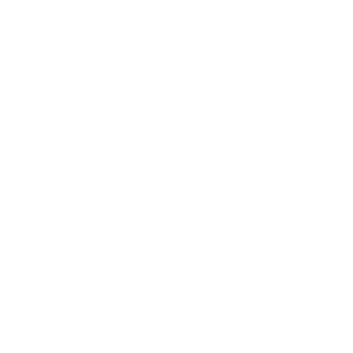 Audit Icon