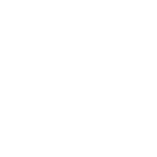 Compliance Icon