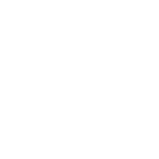 Protect Icon